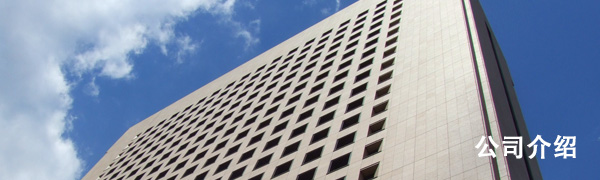 公司介绍