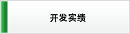 开发实绩
