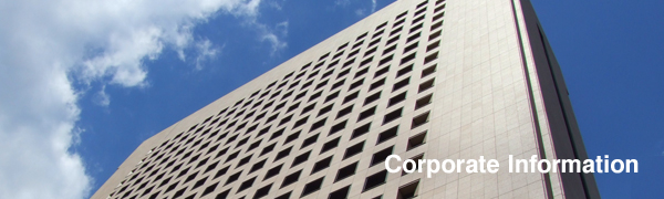 Corporate Information