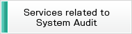 Services related to System Audit