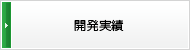 開発実績