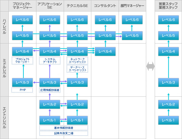 キャリアパス概要図